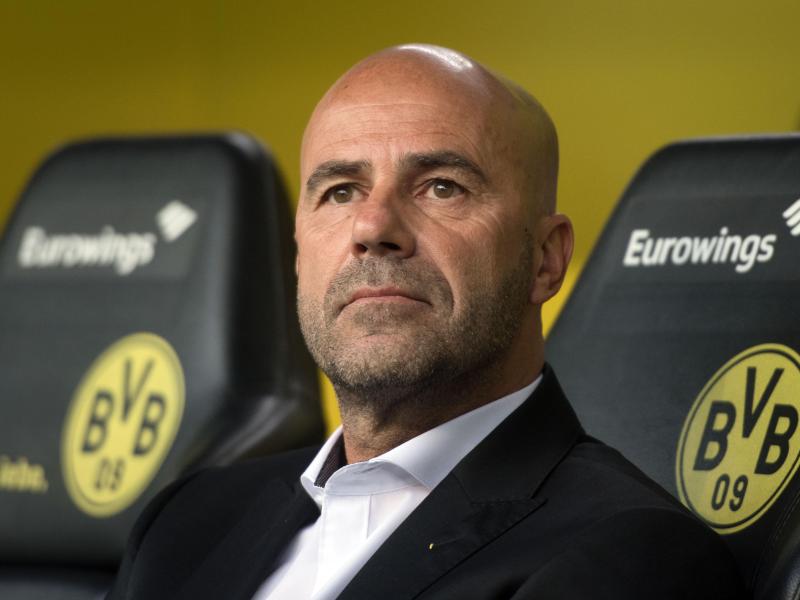 Trainer Peter Bosz will mit Borussia Dortmund die Bundesliga-Spitze verteidigen. Trainer Peter Bosz will mit Borussia Dortmund die Bundesliga-Spitze verteidigen.