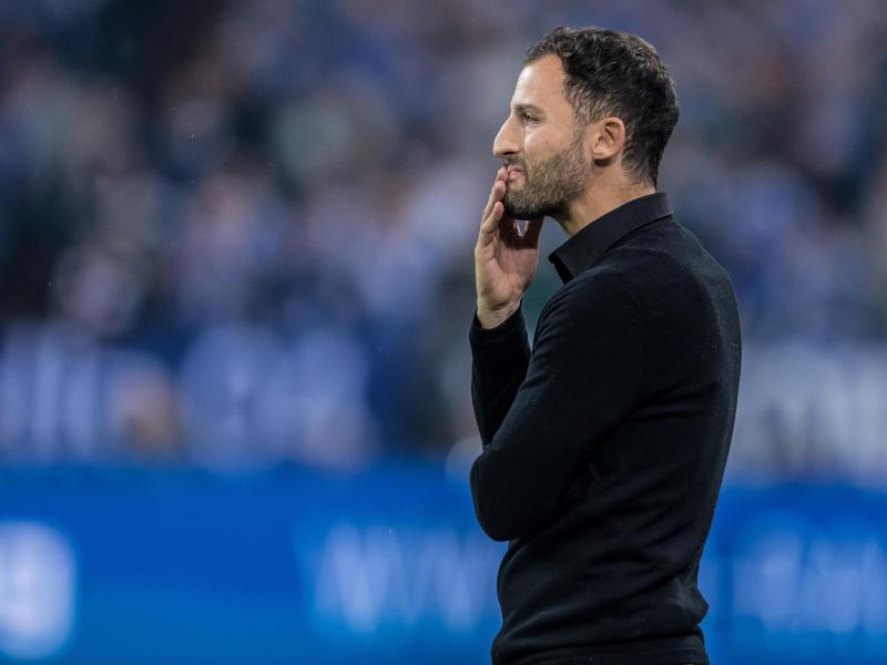 Schalkes Trainer Domenico Tedesco geht das Spiel gegen den Drittligisten Wehen-Wiesbaden mit dem nötigen Ernst an