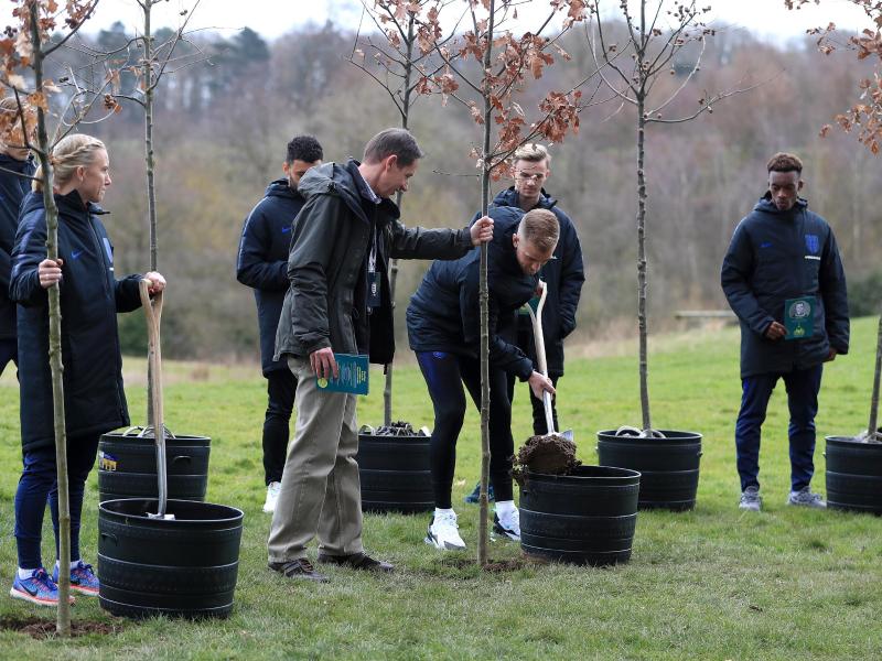 14 Bäume wurden gepflanzt, um an 14 englische Nationalspieler zu erinnern