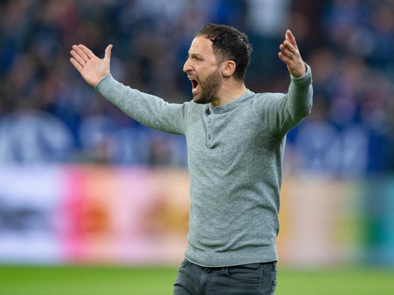 Soll beim FC Schalke 04 eine neue Ära einleiten: Trainer Domenico Tedesco