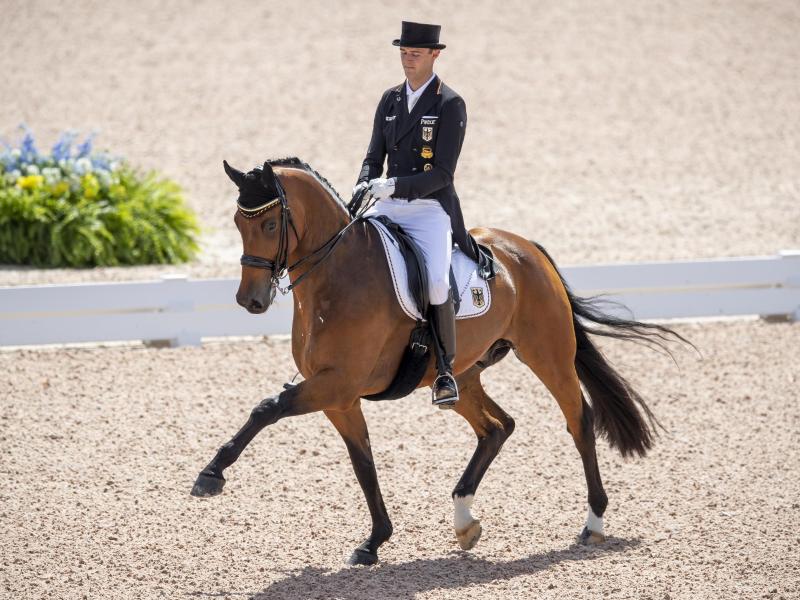 Das Pferd von Sönke Rothenberger, Cosmo, leidet unter Kolik-Symptomen Das Pferd von Sönke Rothenberger, Cosmo, leidet unter Kolik-Symptomen