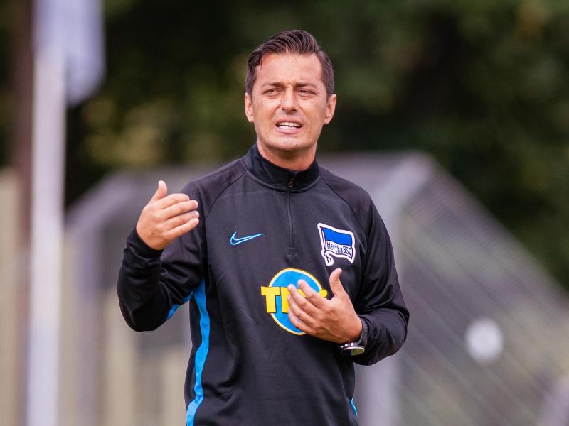 Kein Freund der neuen Karten-Regelung für Trainer: Hertha-Trainer Ante Covic
