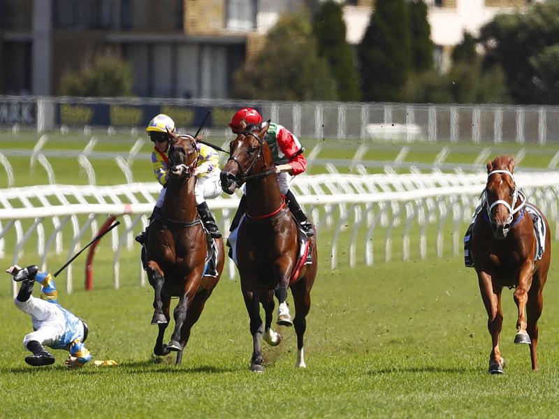 Gefährlicher Sport: Ein Jockey ist bei einem Rennen in Australien von seinem Pferd gefallen. Seit 2000 sind in Australien 20 Jockeys ums Leben gekommen Gefährlicher Sport: Ein Jockey ist bei einem Rennen in Australien von seinem Pferd gefallen. Seit 2000 sind in Australien 20 Jockeys ums Leben gekommen