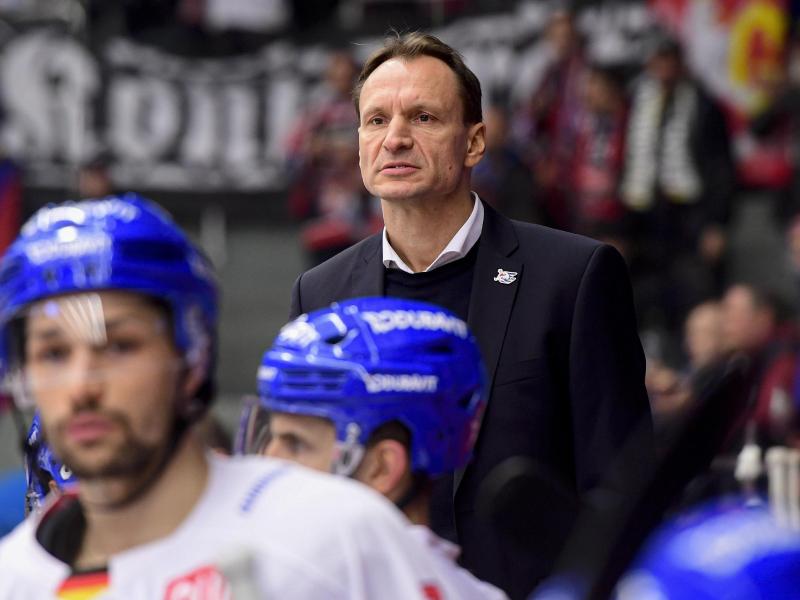 Verpasste mit den Adler Mannheim das Königsklassen-Viertelfinale: Coach Pavel Gross Verpasste mit den Adler Mannheim das Königsklassen-Viertelfinale: Coach Pavel Gross