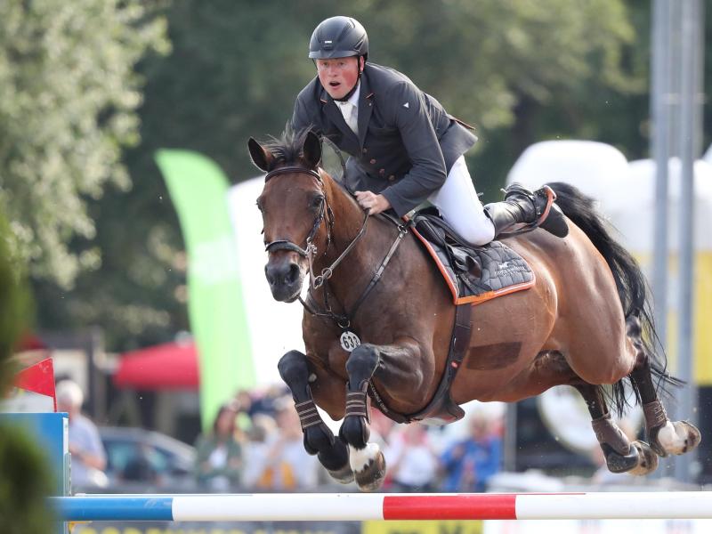 Reiten In Frankfurt Reiten In Frankfurt