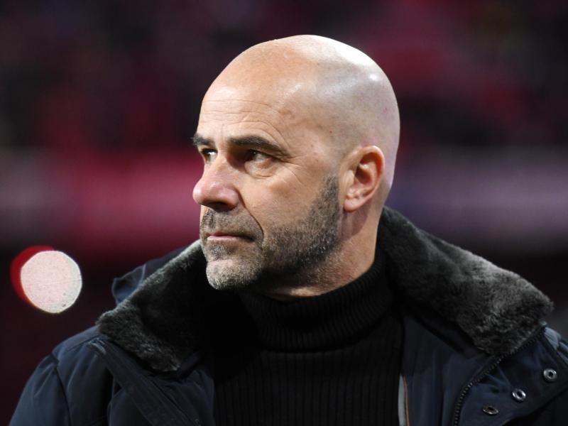 Reiste mit Bayer Leverkusen zunächst ohne Neuzugang ins Trainingslager: Peter Bosz Reiste mit Bayer Leverkusen zunächst ohne Neuzugang ins Trainingslager: Peter Bosz