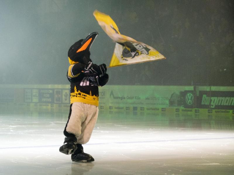 Die Krefeld Pinguine benötigen im Kampf gegen die drohende Zahlungsunfähigkeit schnell Geld Die Krefeld Pinguine benötigen im Kampf gegen die drohende Zahlungsunfähigkeit schnell Geld