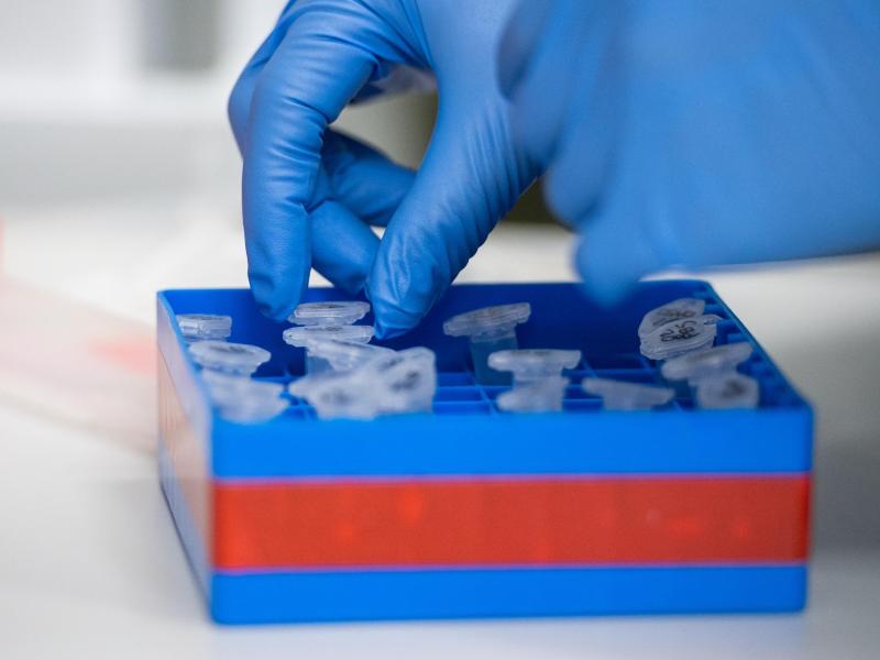 Die Ausbreitung des Coronavirus hat auch auf den Sport Auswirkungen Die Ausbreitung des Coronavirus hat auch auf den Sport Auswirkungen