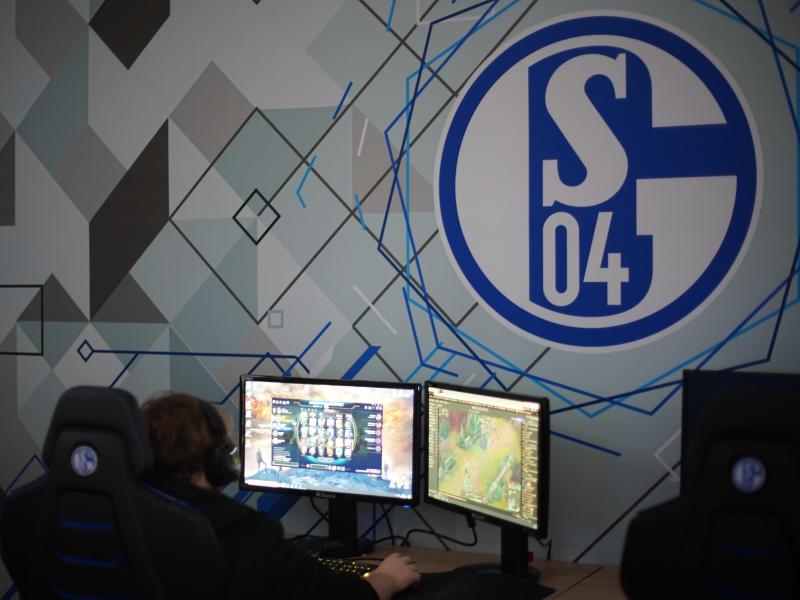 Schalke hat die Prime League Pro Division gewonnen Schalke hat die Prime League Pro Division gewonnen
