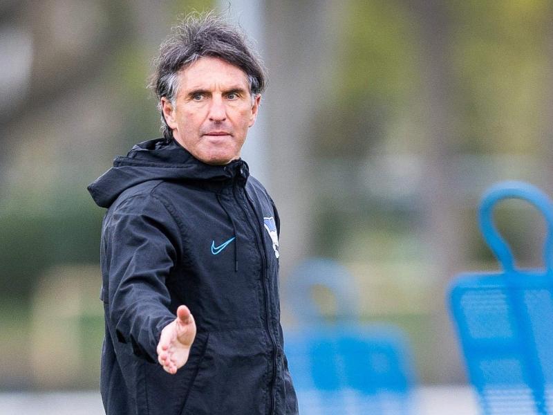Bruno Labbadia gibt sein Debüt an der Seitenlinie als Trainer von Hertha BSC Bruno Labbadia gibt sein Debüt an der Seitenlinie als Trainer von Hertha BSC