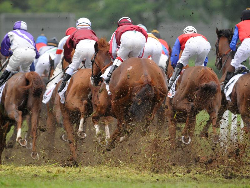 Auf der Rennbahn in Hamburg-Horn wird an drei Tagen vom 10. bis 12. Juli das Deutsche Galopp-Derby abgehalten Auf der Rennbahn in Hamburg-Horn wird an drei Tagen vom 10. bis 12. Juli das Deutsche Galopp-Derby abgehalten