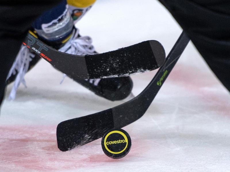 Wann wird in der DEL wieder um den Puck gekämpft? Wann wird in der DEL wieder um den Puck gekämpft?