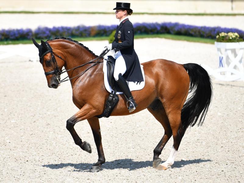 Favoritin ist auch in Balve wieder einmal Isabell Werth Favoritin ist auch in Balve wieder einmal Isabell Werth