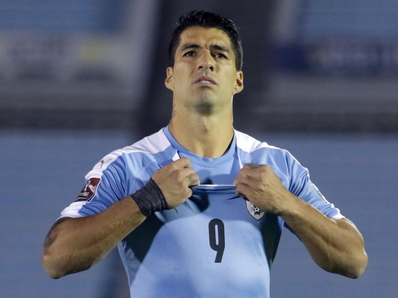 Luis Suárez soll bei einer Sprachprüfung geschummelt haben Luis Suárez soll bei einer Sprachprüfung geschummelt haben