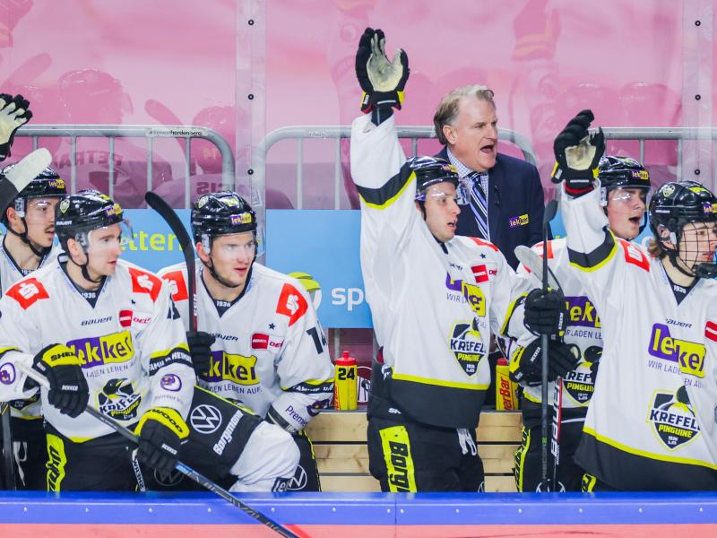 Die Spieler der Krefeld Pinguine sind Ziel massiver Beleidigungen geworden Die Spieler der Krefeld Pinguine sind Ziel massiver Beleidigungen geworden