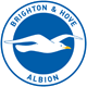 Manchester City Brighton & Hove Albion