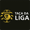 Taça da Liga
