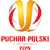 Puchar Polski