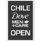 ATP 250 Santiago de Chile