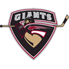 Vancouver Giants U20