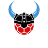 HC Rhein Vikings Männer