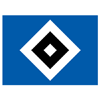 Hamburger SV VI Herren