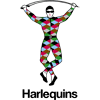 Harlequins Harlequins