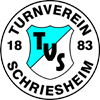 TV Schriesheim Frauen