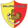 Gallipoli Herren Gallipoli Herren