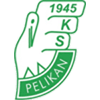 Pelikan Lowicz