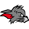 Kirchdorf Wildcats