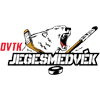 Dvtk Jegesmedvek Eishockey Profil