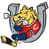 Barrie Colts U20