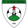 FC Schönberg Herren