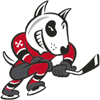 Niagara IceDogs U20