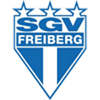 SGV Freiberg Herren