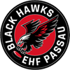 Passau Black Hawks Männer