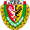 Śląsk Wrocław Herren
