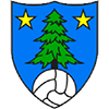 FC Saint-Léonard Herren