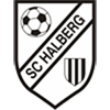 SC Halberg Brebach Männer