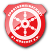 SG 01 Hoechst Männer
