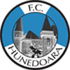 FC HunedoaraHerren