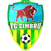 FC Zimbru Herren