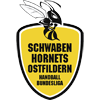 Schwaben Hornets Ostfildern Frauen