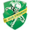 HC Gelpe/Strombach Frauen