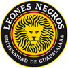 Leones Negros