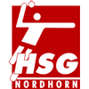 HSG Nordhorn-Lingen Herren