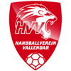 HV Vallendar