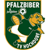 TV Hochdorf Männer