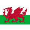 Wales Herren Wales Herren